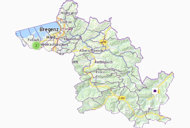 Hebearbeiten in Bregenz