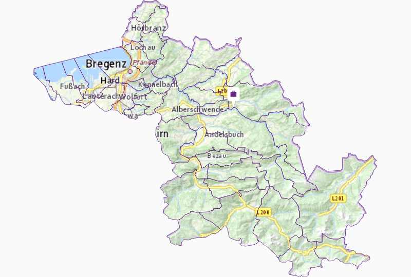 Relocation Services in Bregenz