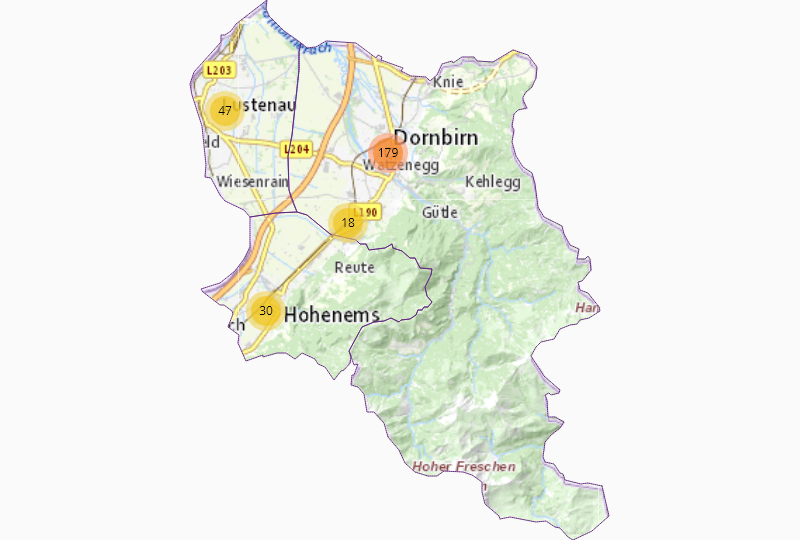 IT-Dienstleistungen in Dornbirn