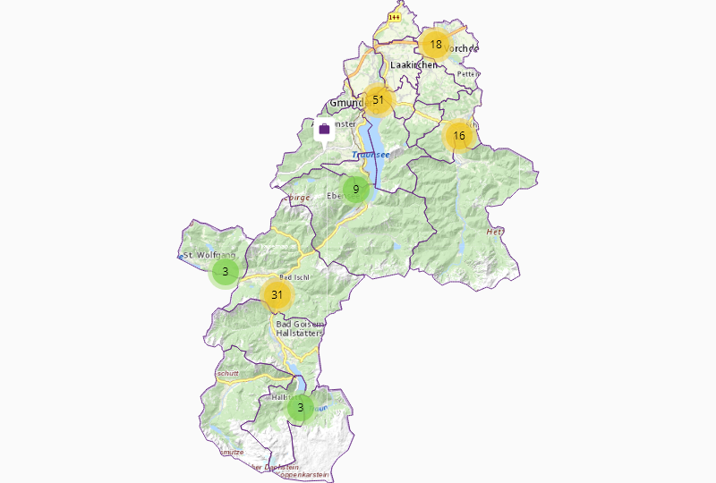 Consumer electronics in Gmunden