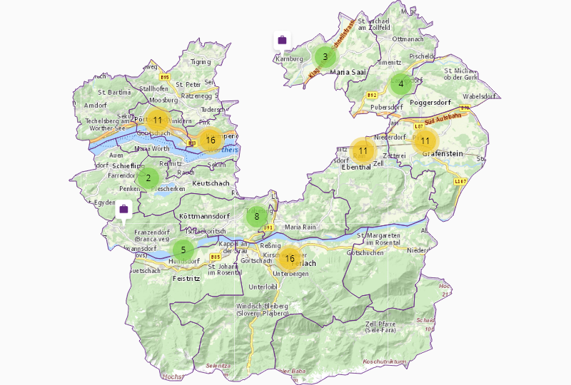 Business services in Klagenfurt County