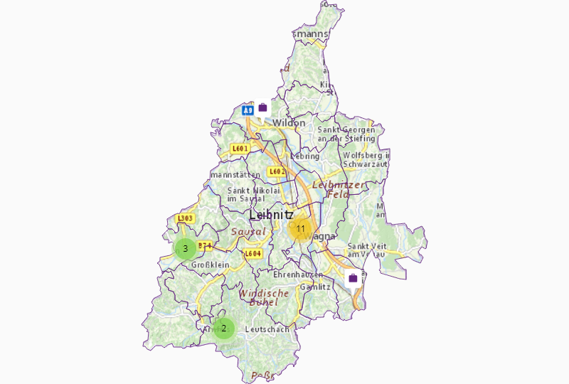 Domestic appliances in Leibnitz