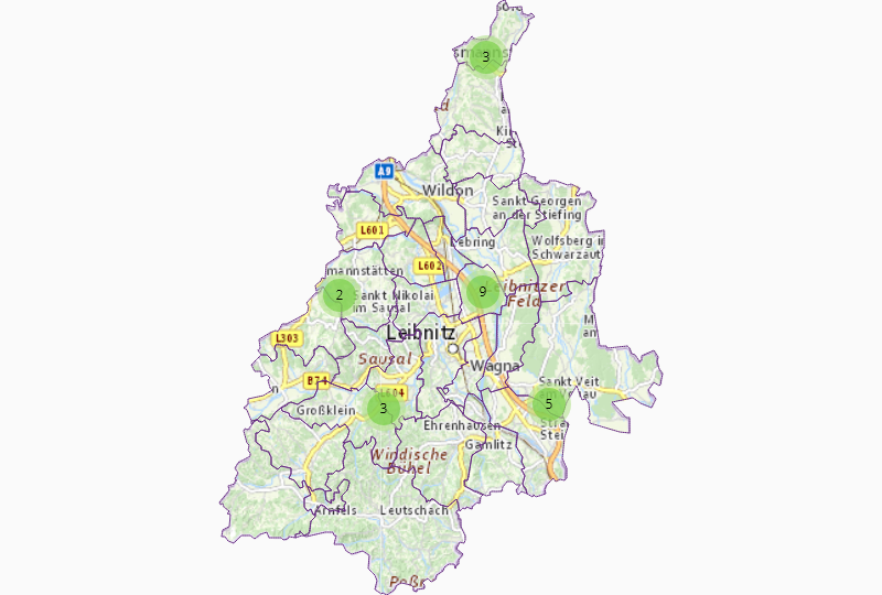 Vehicle construction in Leibnitz
