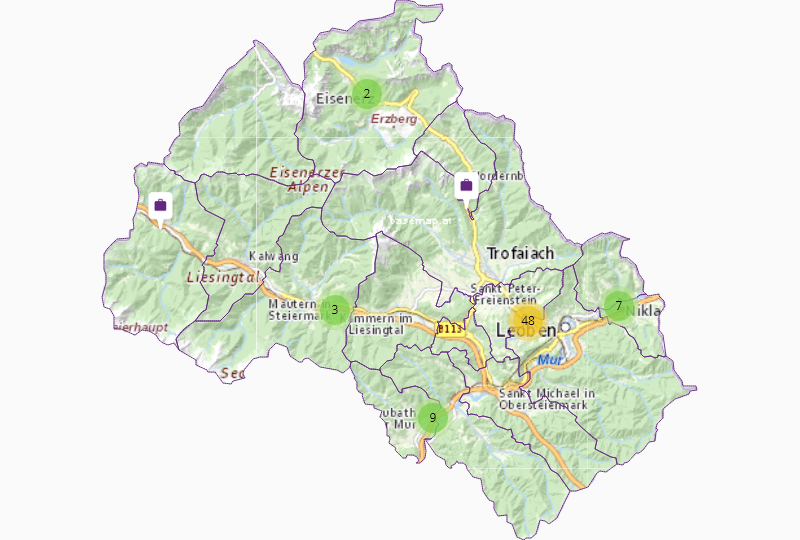 Wholesale import-export-trade in Leoben