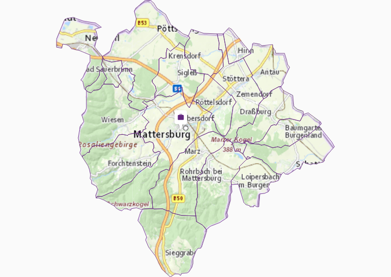 Veterinary practices in Mattersburg