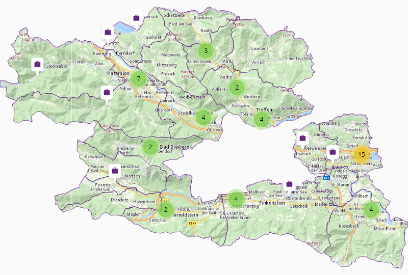 Holdings & participations in Villach County