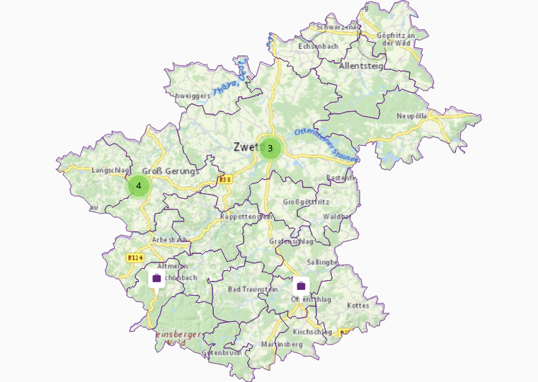 Schuhe in Zwettl