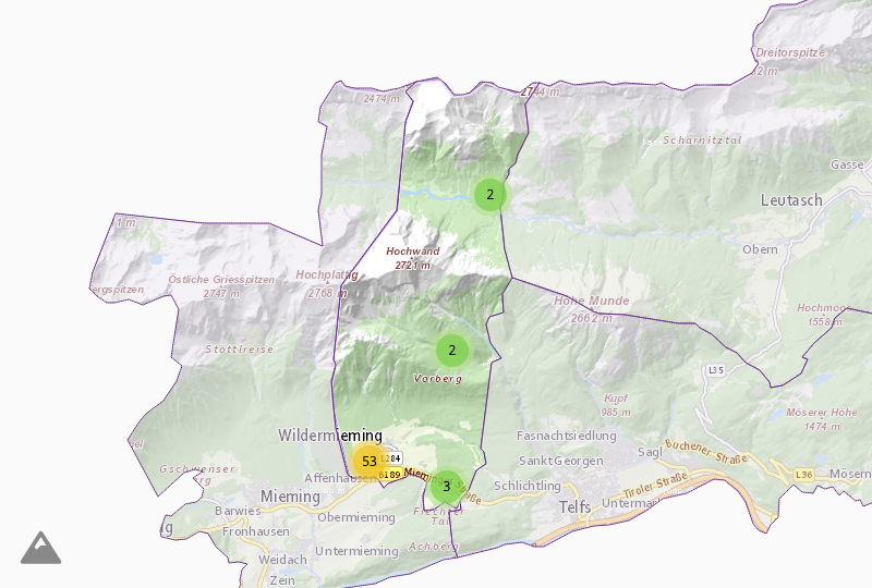 Companies in Wildermieming