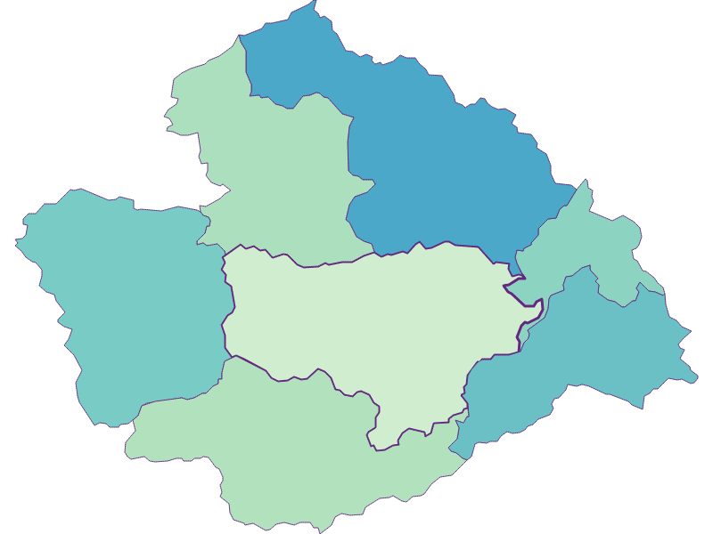 Share of foreigners in Furth an der Triesting