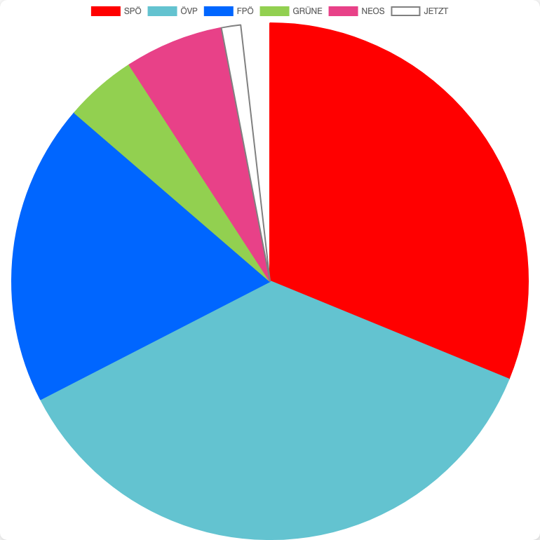 General Elections in Austria in Turnau