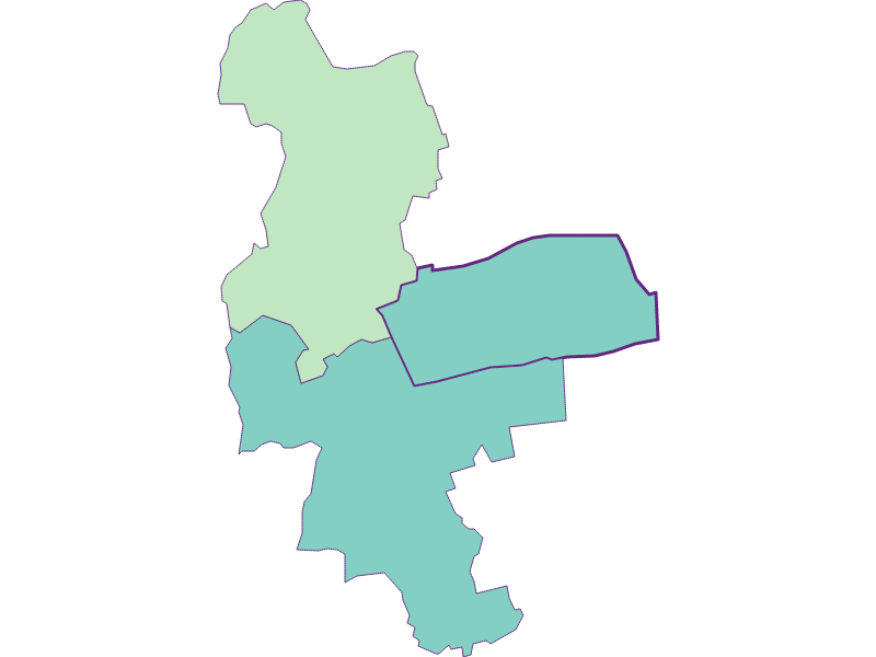 Share of foreigners in Bildein