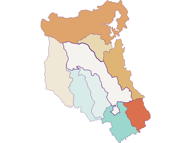 Population development 1900-2018 | Pinggau