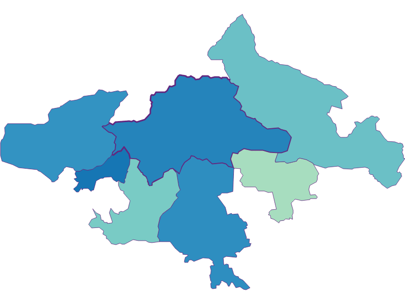 Fremdenanteil in Scharnitz