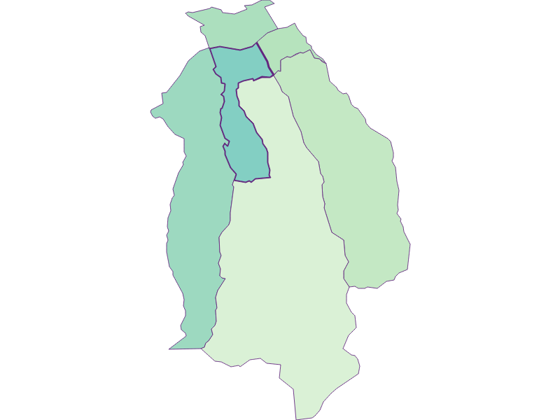 Share of foreigners in Wattens