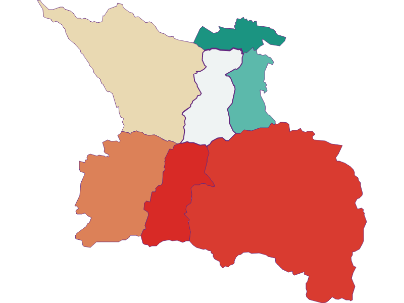 Population development since 1869 in Leisach