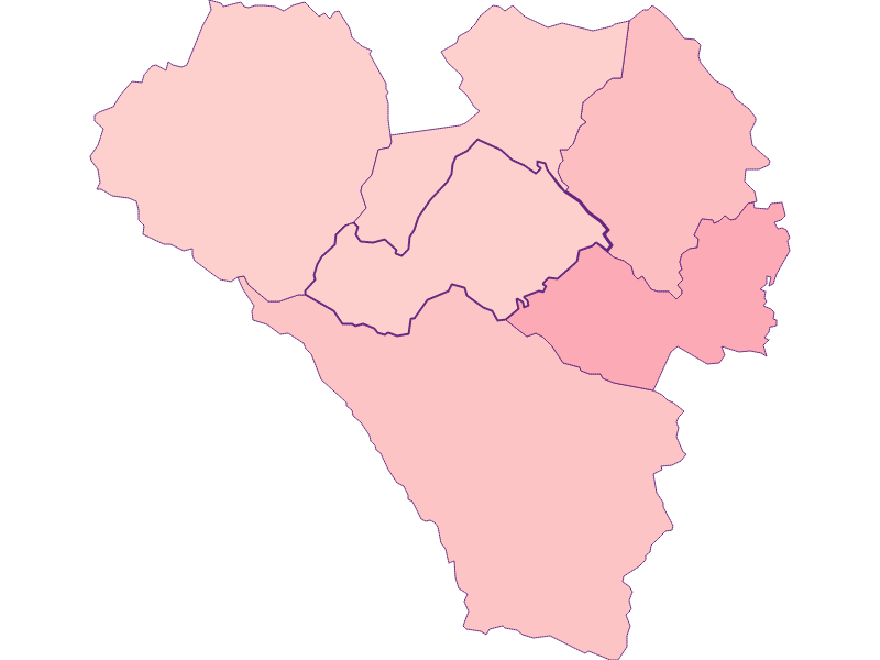 Property price in Schlaiten