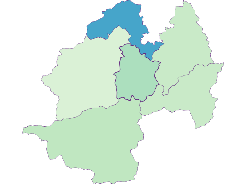 Share of foreigners in Hohenberg