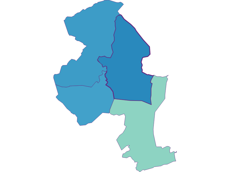 Share of foreigners in Ehrwald