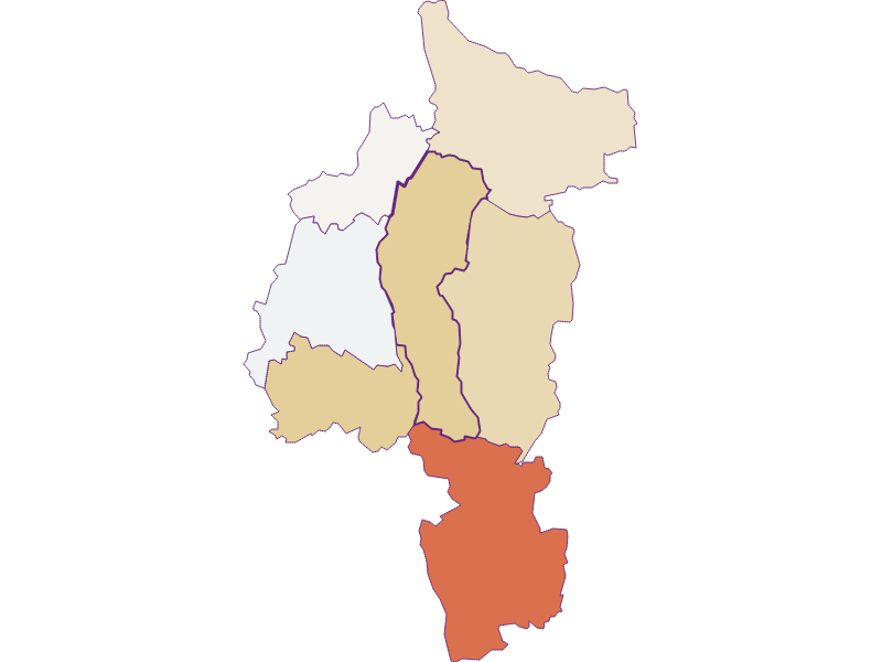 Population development since 1869 in Pirching am Traubenberg