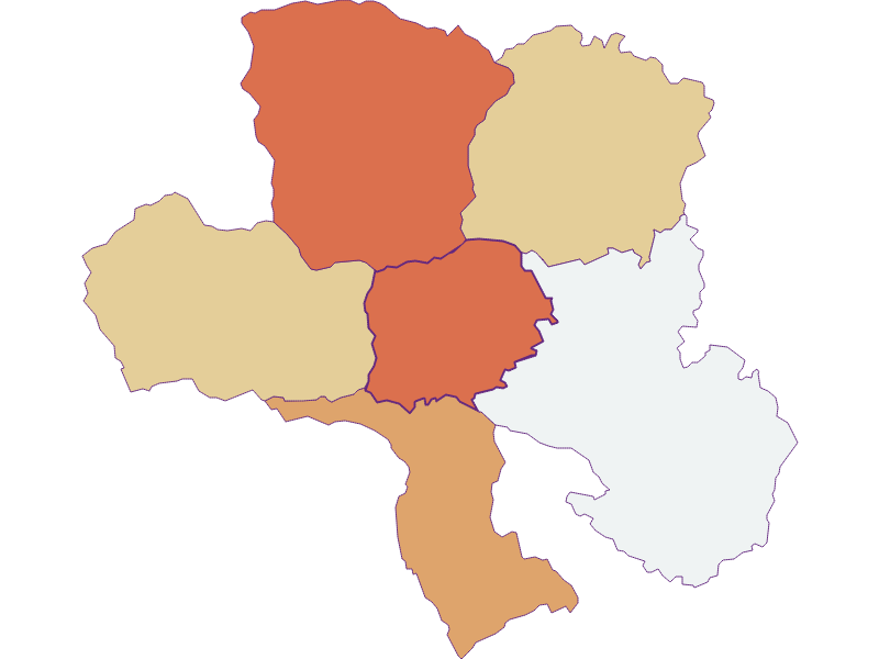 Population development since 1869 in Gasen