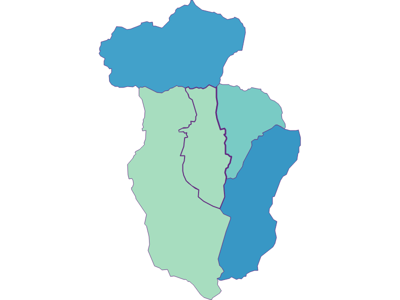 Share of foreigners in Niedernsill