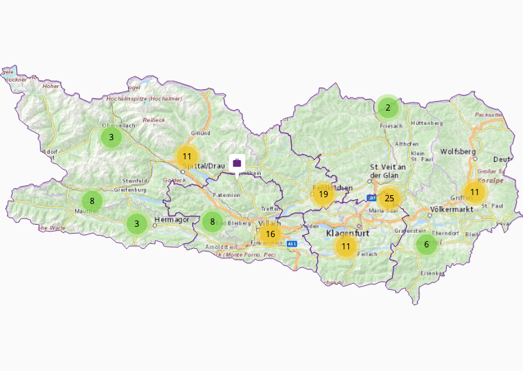 Leistungen in Kärnten