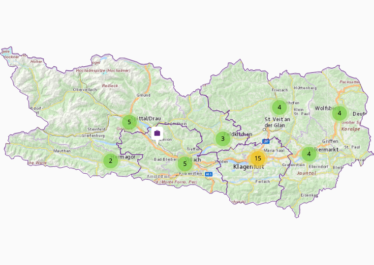 Bandagists & orthopaedic technology in Carinthia