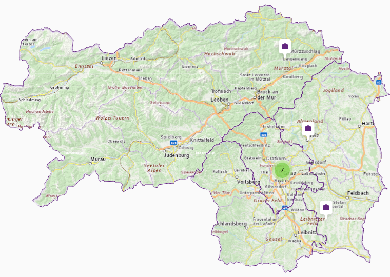 General practitioner in Styria