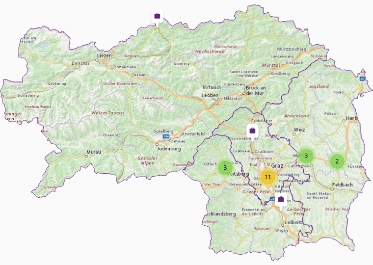 KFZ & Kfz Motoren in Steiermark